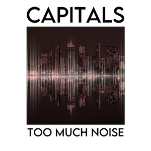 Too Much Noise