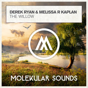 The Willow (Extended Mix)