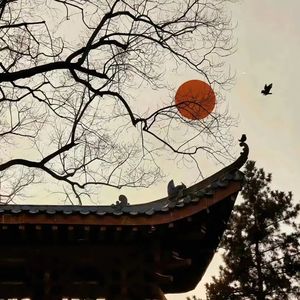 弱水三千 (DJ墨韩Mix版伴奏)