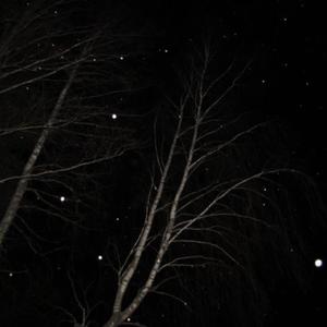 verletzlich (Explicit)