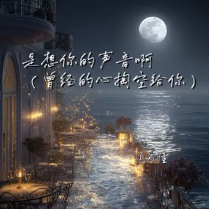 是想你的声音啊 (曾经的心掏空给你)封面
