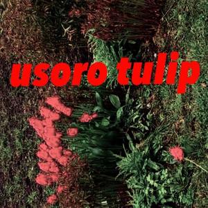 usoro tulip