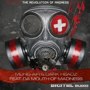 The Revolution of Madness (The Punisher Remix)