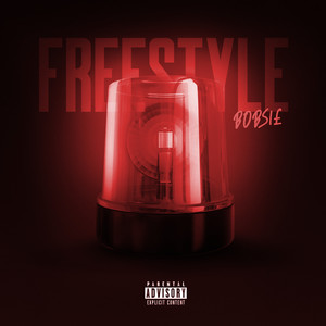 Freestyle (Explicit)