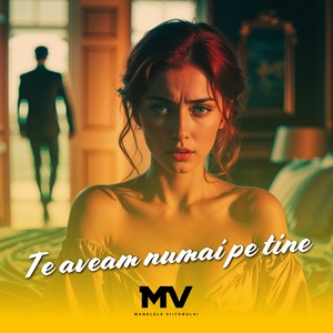 Te aveam numai pe tine