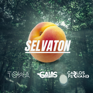 Dj Towa - Selvaton