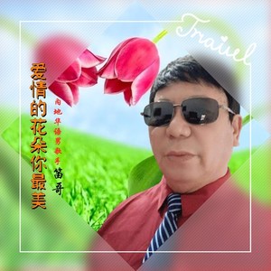 爱情的花朵你最美 (DJ男声版)