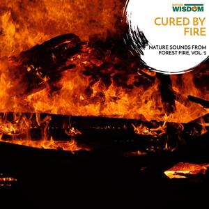 Cured by Fire - Nature Sounds from Forest Fire, Vol. 2