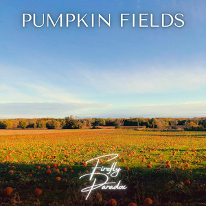 Pumpkin Fields