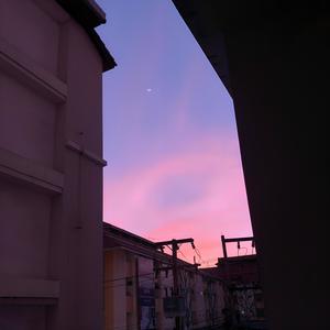 ทไวไลท์