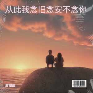 从此我念旧念安不念你
