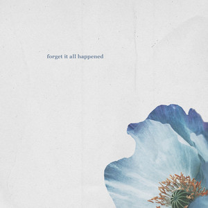 Forget It All Happened (Explicit)