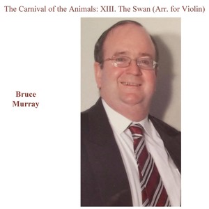 The Carnival of the Animals: XIII. The Swan (Arr. for Violin)