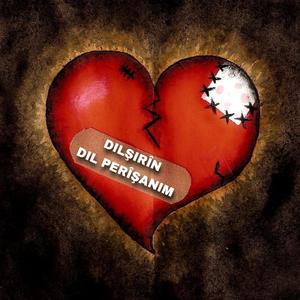 Dil Perîşanim