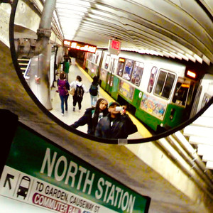 brown butterflies (Boston)