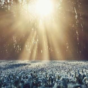 有两颗红樱桃的蛋糕-亲子群星