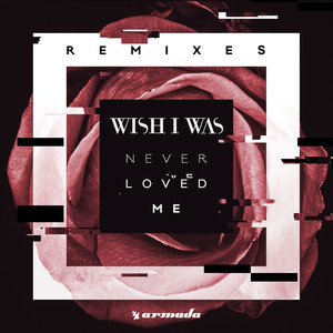 Never Loved Me (Remixes)