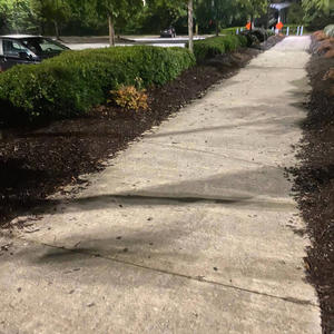 BACK FROM THE DEAD (feat. Lil Red) (Explicit)