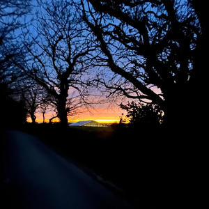 Yeah Yeah (feat. WEBZ) (Explicit)