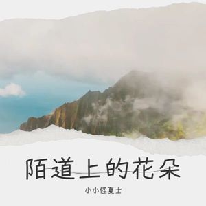 陌道上的花朵