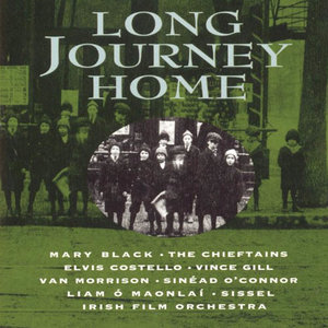 Long Journey Home: The Irish in America