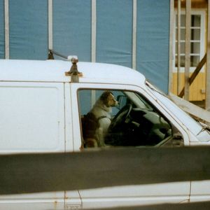 vit bíða at breyðið skal poppa