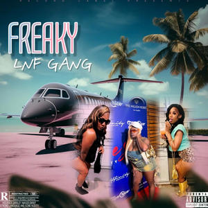 Freaky (feat. Dski, Lyaa tha G & Neq da Freak) (Explicit)