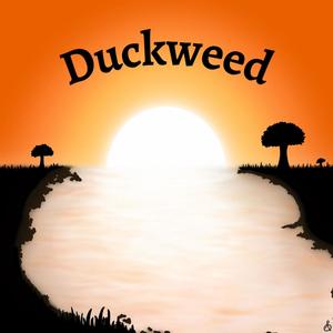 Duckweed