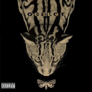 OCELOT (feat. N1W, ICKYMANE & Tee Sidney) (Explicit)