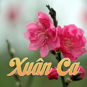 Điệp khúc mùa xuân