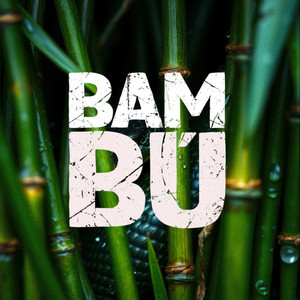 Bambú