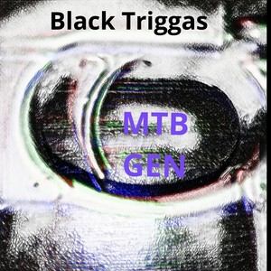 Black Triggas (feat. JayLAFlair & J- Music) [Explicit]