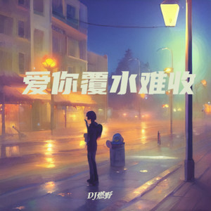 爱你覆水难收 - DJ燃野封面