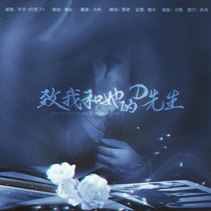 致我和她的D先生