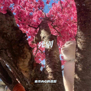 死别 (手风琴版)