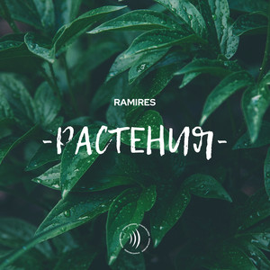 Растения (Explicit)