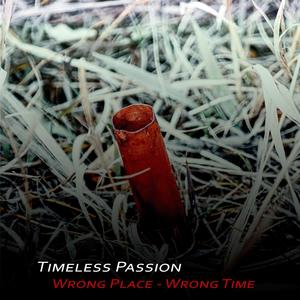 Wrong Place - Wrong Time(feat. Cree Patterson, Mark Jensen, Elizabeth Auzan, Andreas Thiele & Silver Lucidity)