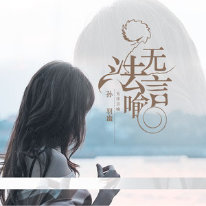 无法言喻封面