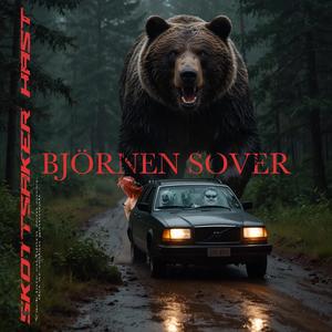 Björnen Sover