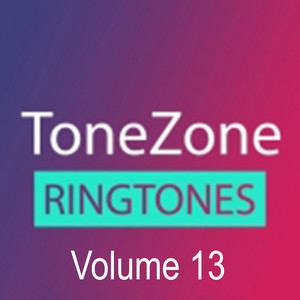 Tonezone, Vol. 13