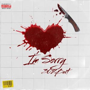 I'm Sorry (Explicit)