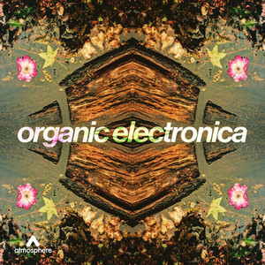 Organic Electronica