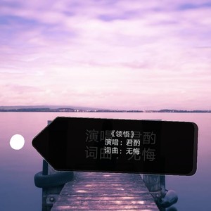 领悟 (伴奏)