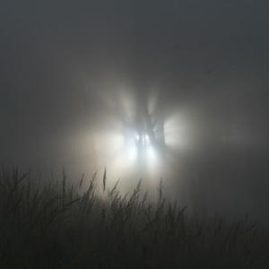 checkthastats (feat. sk8star) (Explicit)