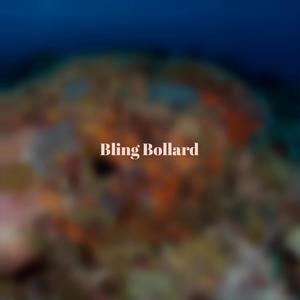 Bling Bollard