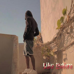Like Before (feat. Khizzer Ansary & zayf) (Explicit)