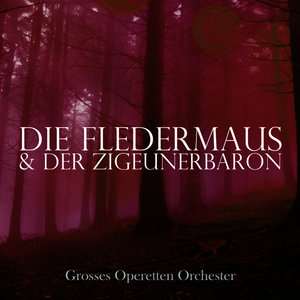 Die Fledermaus, RV 503