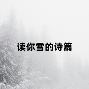 读你雪的诗篇