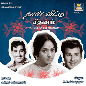 Thai Veetu Seethanam - Single