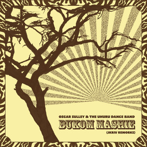 Bukom Mashie (JKriv Extended Acid Dub)